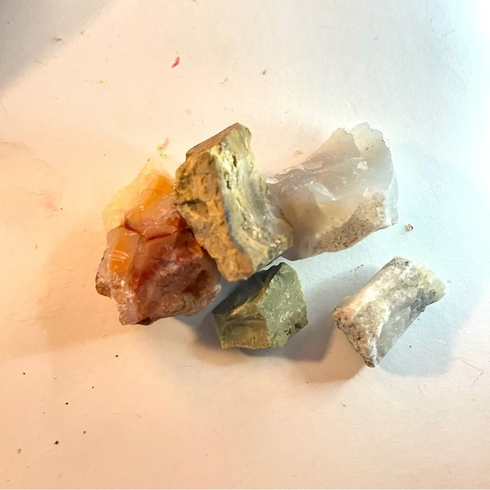 New Petrified Wood Agate Olive Opal Free Form Specimen Chunk 5 Piece 44.9g